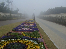 画像: あらい浜風公園